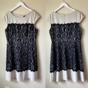 Adrianna Papell Plus Size Lace dress